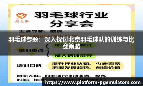 羽毛球专题：深入探讨北京羽毛球队的训练与比赛策略