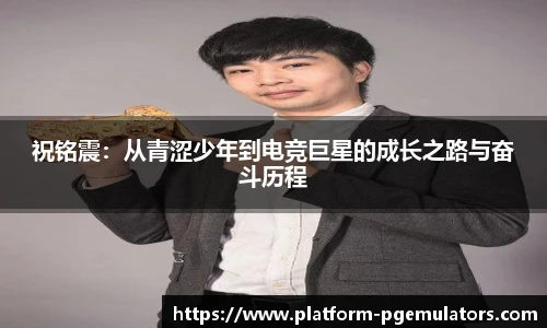 PG模拟器官网